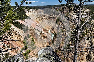 Grand Canyon of the Yellowstone as seen from North Rim's Lookout Point, Yellowstone National Park, Wyoming, USA