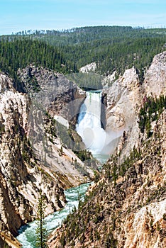 Grand Canyon of the Yellowstone and Lower Falls, Wyoming, USA