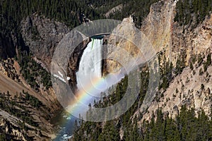 Grand Canyon of Yellowstone Lower Falls in Yellowstone National Park