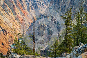 Grand Canyon of the Yellowstone River