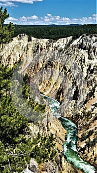 Grand Canyon of Yellowstone vertical