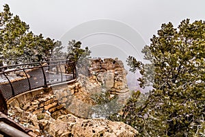 Grand Canyons in snow