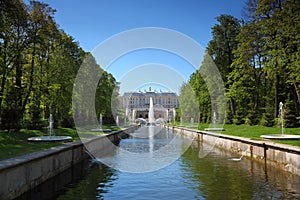 Grand Cascade Fountains At Peterhof Palace garden