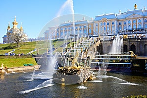 Grand Cascade, Samson fountain in Peterhof Palace in May.