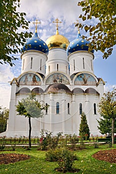 The Grand Cathedral Framed with Trees - Assumption Cathedral in