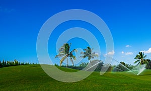 Grand Cayman-Golf Course 7