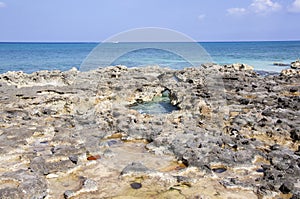 Grand Cayman Island Eroded Rocky Shore