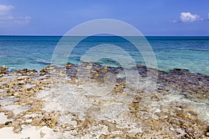 Grand Cayman Island Rocky Beach