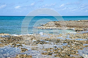 Grand Cayman Island Rocky Coastline