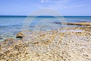 Grand Cayman Island Seven Mile Beach Rocky Shore