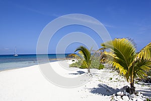 Grand Cayman Island White Sand Beach