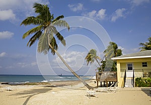 grand Cayman islands