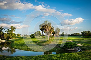 Grand Cayman-Redundant Golf Course 19