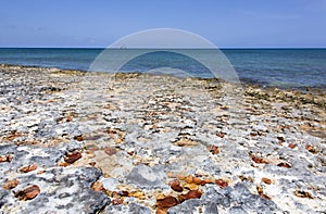 Grand Cayman Rocky Seven Mile Beach