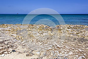 Grand Cayman Rocky Shore And Caribbean Sea