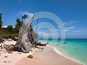 Grand Cayman-Seven Mile Beach 10