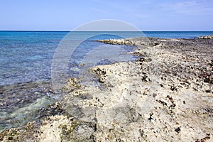 Grand Cayman Seven Mile Beach Rocky Shore