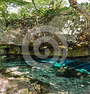 Grand Cenote one of the most famous cenotes in Mexico