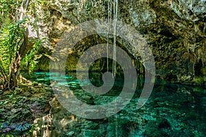 Grand Cenote one of the most famous cenotes in Mexico