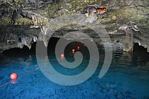 Grand cenote in Yucatan, Mexico.