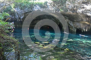 Grand cenote in Yucatan peninsula, Mexico.