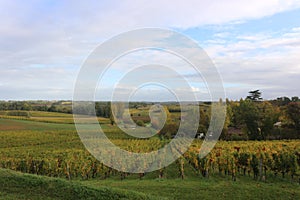 Grand Cru Classé Winery in Saint Emilion