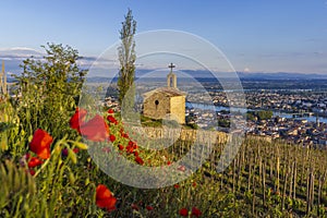 Grand cru vineyard and Chapel of Saint Christopher, Tain l'Hermitage, Rhone-Alpes, France