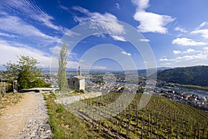 Grand cru vineyard and Chapel of Saint Christopher, Tain l'Hermitage, Rhone-Alpes, France