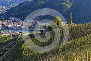 Grand cru vineyard and Chapel of Saint Christopher, Tain l'Hermitage, Rhone-Alpes, France