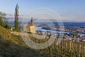 Grand cru vineyard and Chapel of Saint Christopher, Tain l'Hermitage, Rhone-Alpes, France