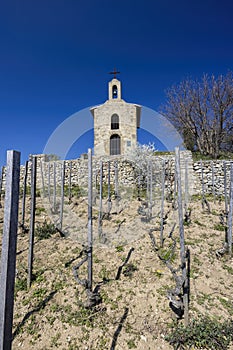 Grand cru vineyard and Chapel of Saint Christopher, Tain l'Hermitage, Rhone-Alpes, France