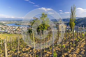 Grand cru vineyard and Chapel of Saint Christopher, Tain l'Hermitage, Rhone-Alpes, France