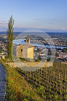 Grand cru vineyard and Chapel of Saint Christopher, Tain l'Hermitage, Rhone-Alpes, France