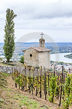 grand cru vineyard and Chapel of St. Christopher, LÂ´Hermitage, R