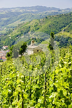 grand cru vineyard and Chapel of St. Christopher, LÂ´Hermitage, R