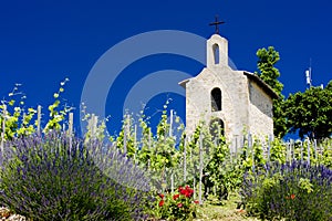 grand cru vineyard and Chapel of St. Christopher, LÃÂ´Hermitage, R photo