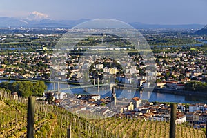 Grand cru vineyard, Tain l'Hermitage, Rhone-Alpes, France