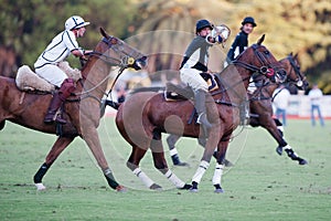 Grand Final of 70th Argentina Pato Open.