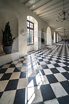 Grand gallery in the ChÃ¢teau de Chenonceau,  France