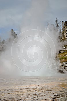Grand geiser in Yellowstone National Park