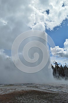 Grand geiser in Yellowstone National Park