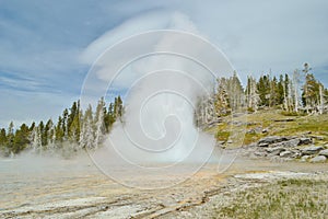 Grand geiser in Yellowstone National Park