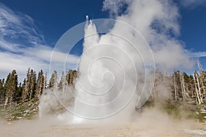 Grand Geyser Landscape Yellowstone National Park