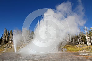 Grand Geyser in Yellowstone