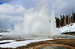 Grand geyser, Yellowstone National Park.