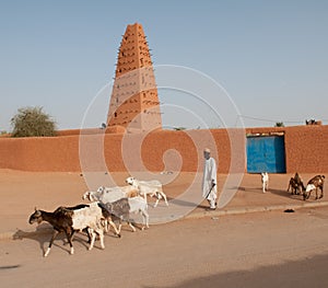 Grand mosque of Agadez