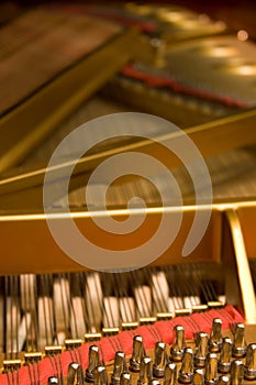 Grand Piano hammers and strings