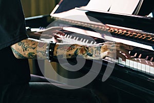 Grand Piano Pianist Musician Performer Melody Concept