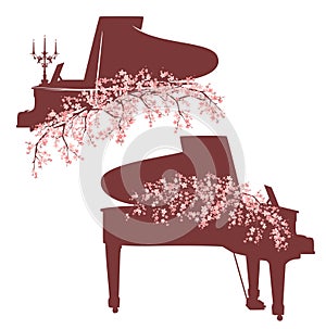 grand piano among pink sakura flower branches vector set