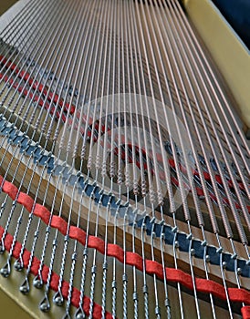 Grand Piano Strings Abstract Portrait View